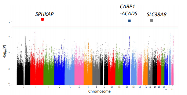 日本最大の全ゲノム解析で統合失調症の新規リスク遺伝子同定に成功