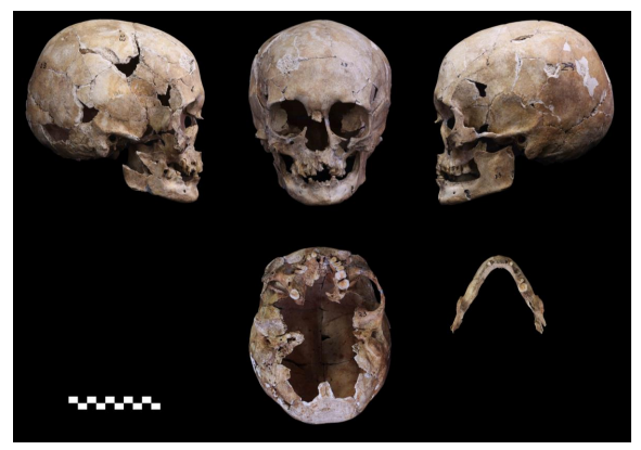 遺伝子から続々解明される縄文人の起源～高精度縄文人ゲノムの取得に成功～