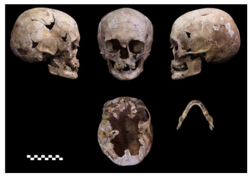 遺伝子から続々解明される縄文人の起源～高精度縄文人ゲノムの取得に成功～