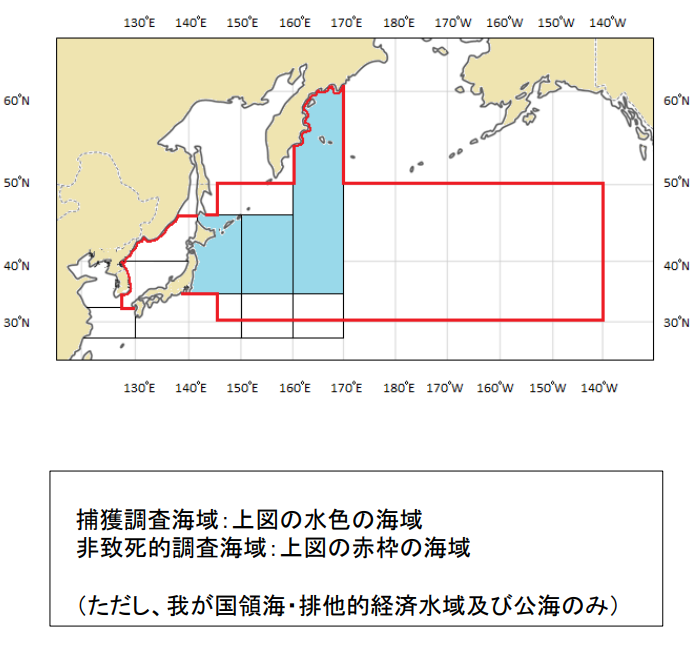 「平成31年度北西太平洋鯨類科学調査(オホーツク海側沿岸域調査)」の実施について