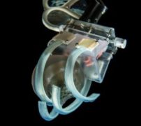 ゼリー状の生物を優しく捕獲するロボティックグリップ (A gentle grip on gelatinous creatures)