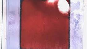 ナノマシン駆動で色を変える人工の「カメレオンスキン」