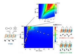 トポロジカル励起による新たな電気伝導機構の解明～電荷を持ったドメインウォールの輸送現象～