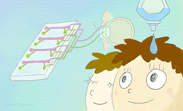 角膜・オン・チップの開発に成功～「まばたき」も再現～