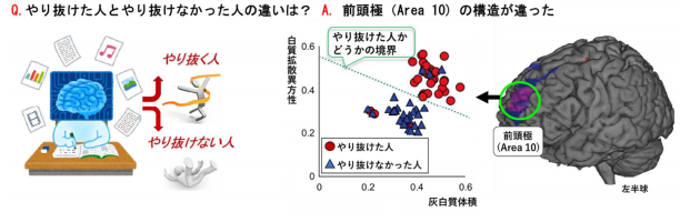 脳画像から「やり抜く力」を予測する手法を開発 ～目標の細分化が脳を変化させ達成を支援～