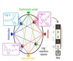 分子情報ストレージシステムの進展を報告
