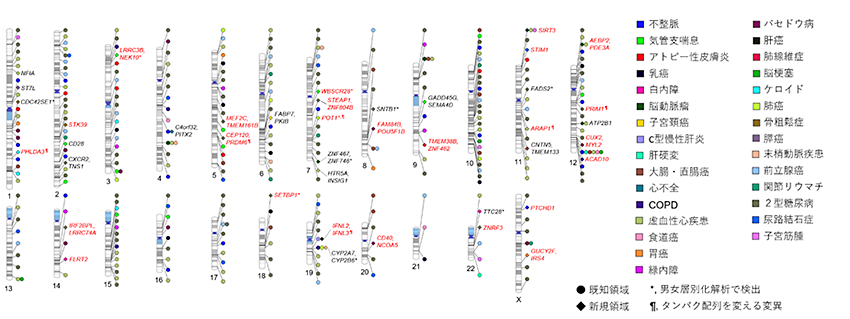 疾患発症に関わる日本人の遺伝的特徴の解明～日本人21万人のゲノム解析により遺伝的変異を検索～