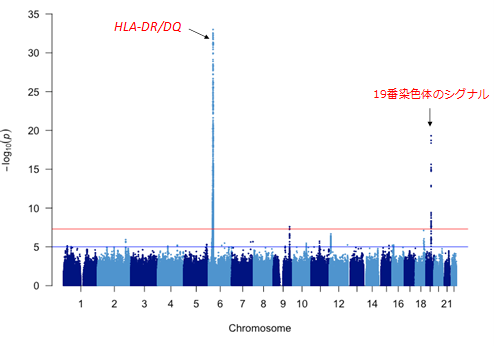 ステロイド感受性ネフローゼ症候群の新たな疾患感受性遺伝子の発見