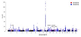 虚血性心疾患に関わる新たな疾患感受性座位の発見