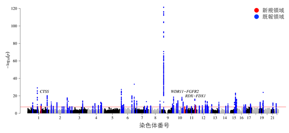 虚血性心疾患に関わる新たな疾患感受性座位の発見～発症に関わる遺伝要因の人種差の理解に貢献～