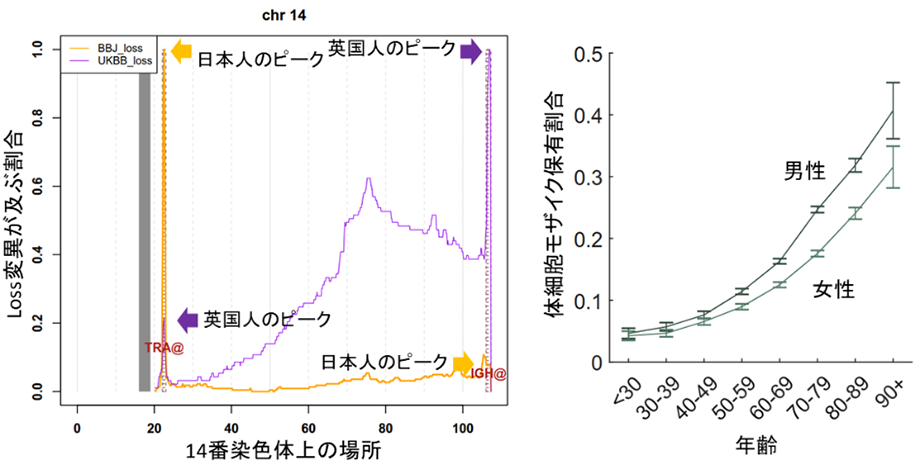 日本人特有の白血病発症メカニズムの解明へ～バイオバンク・ジャパンデータベースの活用による成果～