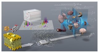生命の脂質多様性を解明～質量分析インフォマティクスで複雑な生命現象の理解に貢献～