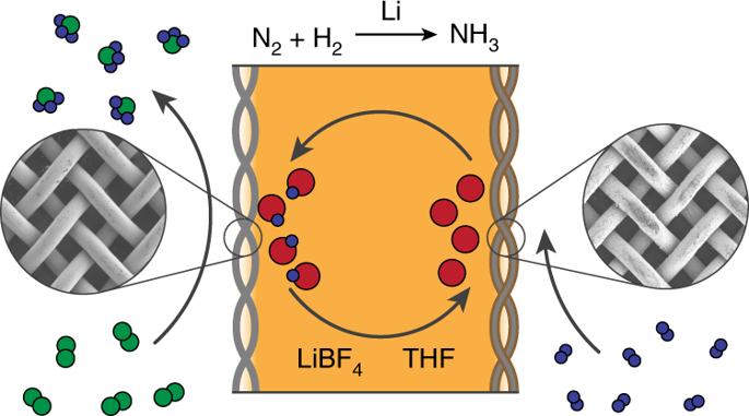 より安価な肥料製造を可能にする技術 (Technique could enable cheaper fertilizer production)