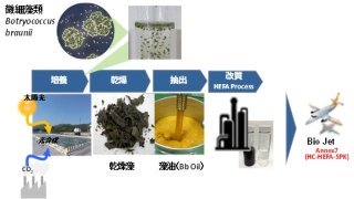 微細藻類から製造するバイオジェット燃料が国際規格ASTM認証を新規取得