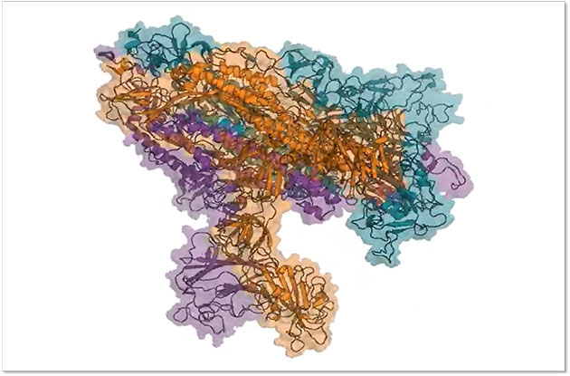 新型コロナウィルスと国際協力で闘うLHCコンピューティング