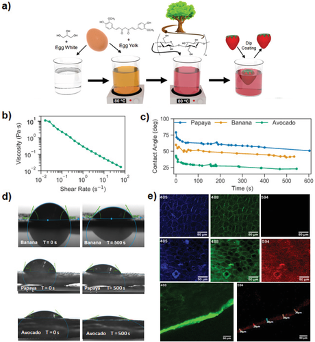 卵を使ったコーティング剤が生鮮食品の鮮度を保持