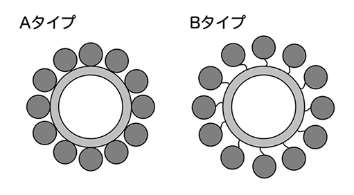 ノロウイルスは感染前に粒子の形を変化させることを発見