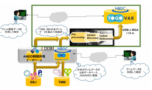 最大規模7609人の日本人全ゲノム配列を集めて解析したバリアント頻度パネル…