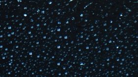 DNA-ペプチド相互作用が複雑な挙動を生み出す-「生命の形成」を促す要因かもしれない
