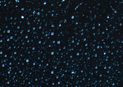 DNA-ペプチド相互作用が複雑な挙動を生み出す-「生命の形成」を促す要因かもしれない