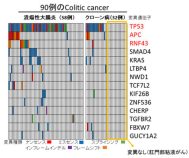 炎症性腸疾患からの発がん機構の解明～Colitic cancerのゲノム解析～