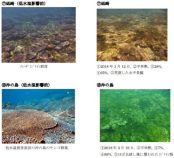 冬季低水温によるサンゴ群集への影響把握調査結果について～モニタリングサイト1000サンゴ礁調査～