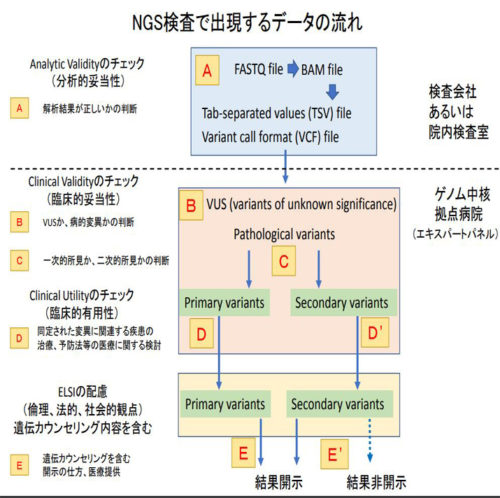 「ゲノム医療における情報伝達プロセスに関する提言