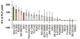 成熟度合いを可視化した巨核球株を用い、血小板産生を促進する薬剤を探索