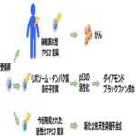 がん抑制遺伝子TP53の活性化変異が原因で起こる「新たな先天性骨髄不全症」を発見 がん抑制遺伝子TP53の活性化変異が原因で起こる「新たな先天性骨髄不全症」を発見