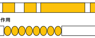 髄芽腫の治療薬候補となる化合物を特定