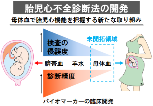 母体血を用いた新しい胎児心不全診断法の開発～胎児心不全時に母体血中で変化するサイトカインを同定～
