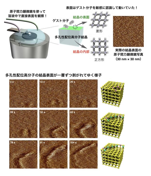 多孔性結晶の表面の細やかな変化を原子間力顕微鏡でリアルタイム観察することに成功