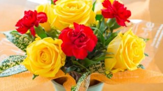 フラワーアレンジメントが高次脳機能障害者の記憶力向上に効果