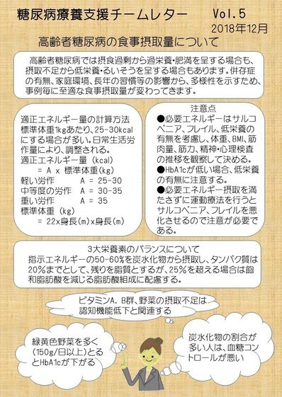 糖尿病療養支援チームレター Vol.5が発行されました