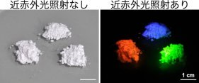 光ファイバーを用いない「ファイバーレス神経活動操作」の開発とその応用による長期間のマウス行動制御の達成