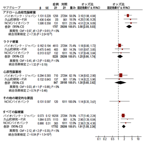日本人の脳梗塞の強力な感受性遺伝子が明らかに