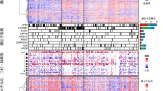 肝細胞癌の分子生物学的・免疫学的サブタイプ分類を確立