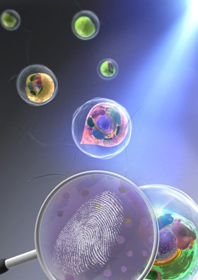 木を見て森も見る 生体分子の指紋で細胞の個性を大規模計測