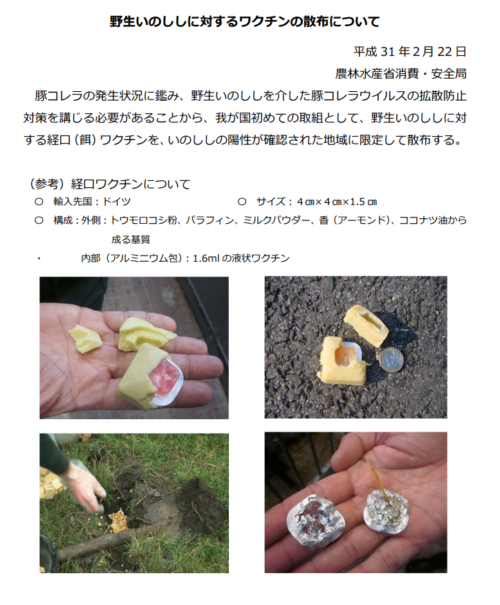 野生いのししにおける豚コレラ拡大防止対策の決定について