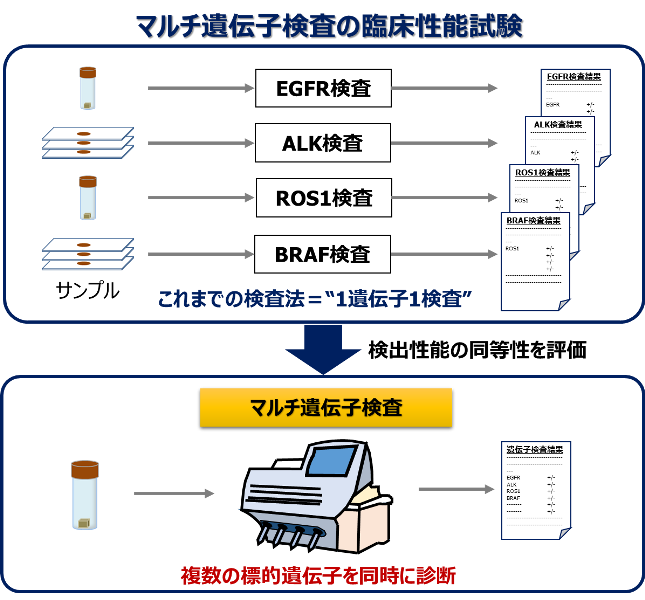 「LC-SCRUM-Japan」の研究成果に基づいて、肺がんのマルチ遺伝子診断法が承認