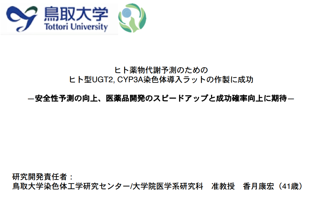 ヒト薬物代謝予測のためのヒト型UGT2、CYP3A染色体導入ラットの作製に成功