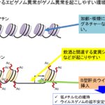 肝臓がんのゲノムを新手法で解析 B型肝炎ウイルスによる新たな発がんメカニズムを発見