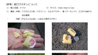 野生いのししにおける豚コレラ拡大防止対策の決定について