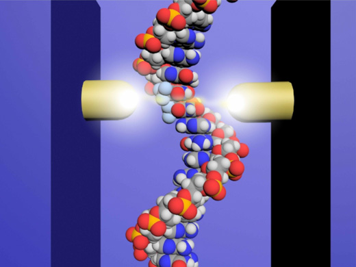世界初 1分子量子シークエンサーによりDNAに取り込まれた抗がん剤の直接観察に成功
