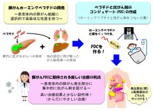 膵がん標的化新薬の共同開発～がん吸収性ペプチドを応用した次世代創薬技術に関する提携～