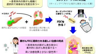 膵がん標的化新薬の共同開発～がん吸収性ペプチドを応用した次世代創薬技術に関する提携～