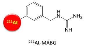 悪性褐色細胞腫に対する新しいアルファ線治療薬候補の安全性をマウスで評価