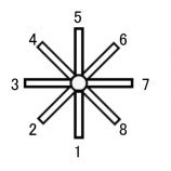 作業記憶(ワーキングメモリ)の脳メカニズムを解明