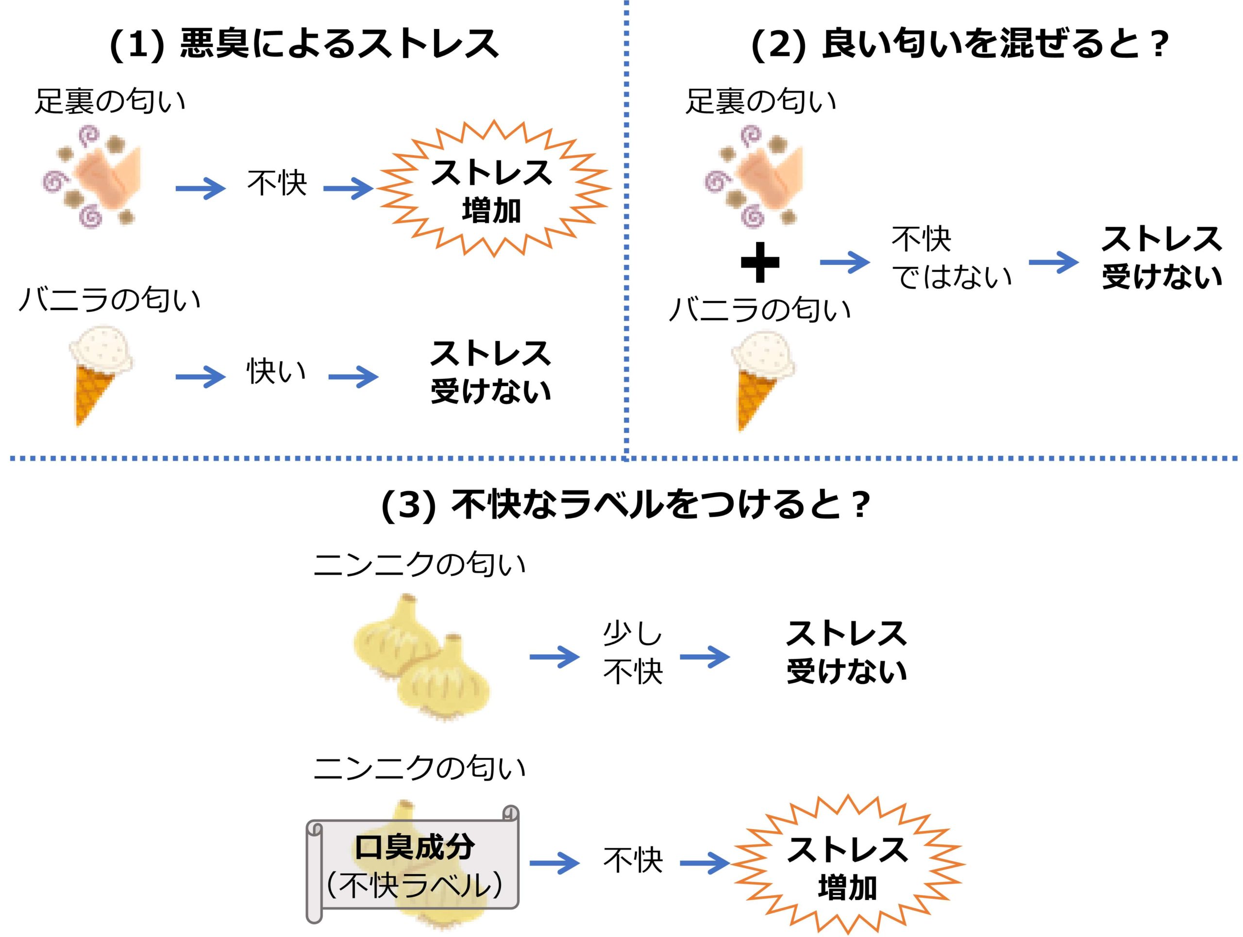 匂いは不快度次第でストレスになる～ヒトにおける悪臭とストレス応答の関係の一端を解明～