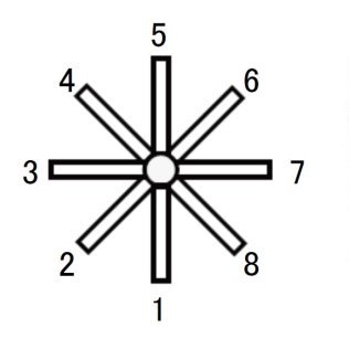 作業記憶(ワーキングメモリ)の脳メカニズムを解明